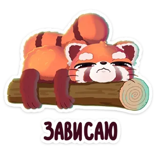 😴