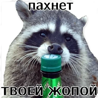 🍾