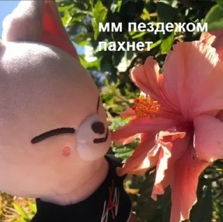 🥱