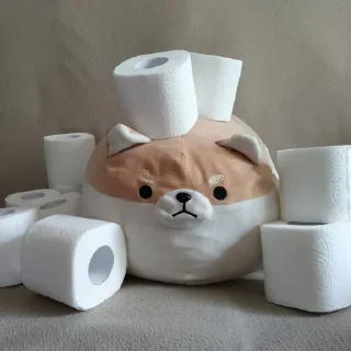 🧻