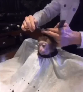 💇