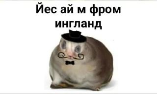 😃