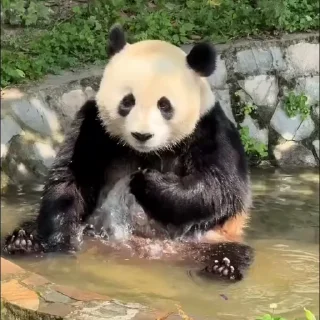 🛀