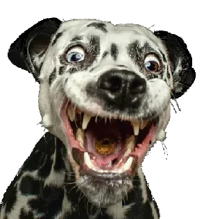 😜