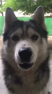 😘