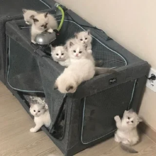 😐