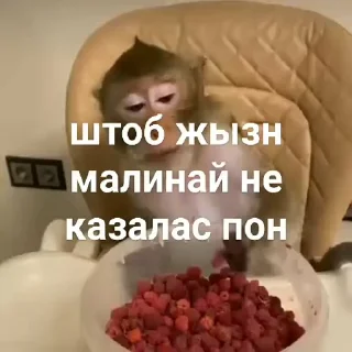 🍴