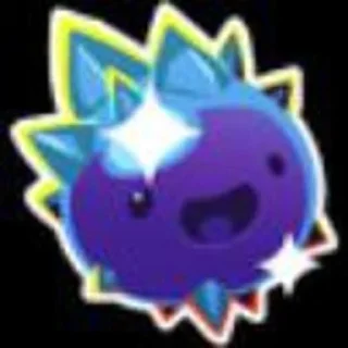 ⭐️