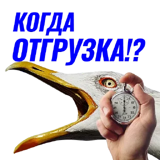 ⏱