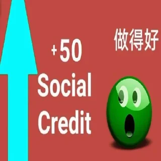 китайская партия🇨🇳🍚
