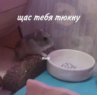 😎