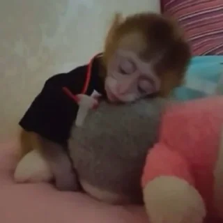 😴