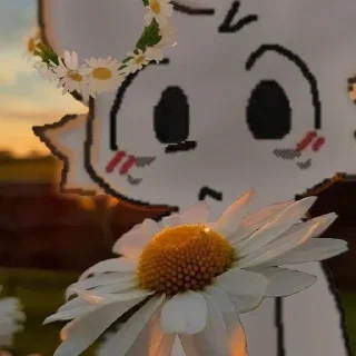 🌻