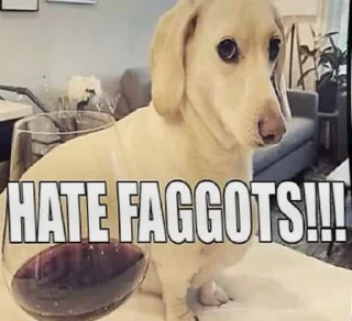 ‼️