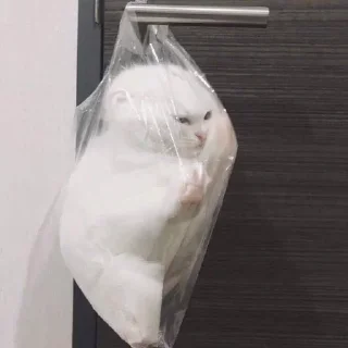 🥺