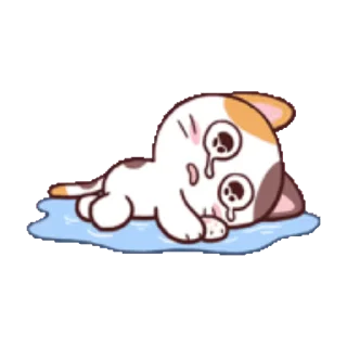 ⭐