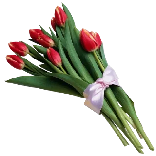 💐
