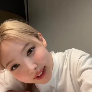 🐰