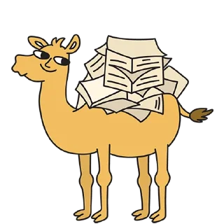 🐪