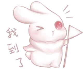 🐰