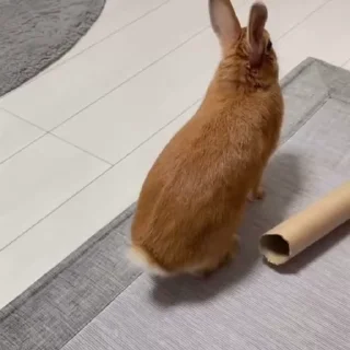 💨