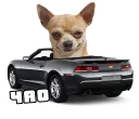 ✋