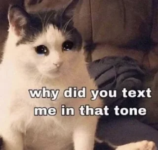 🐱