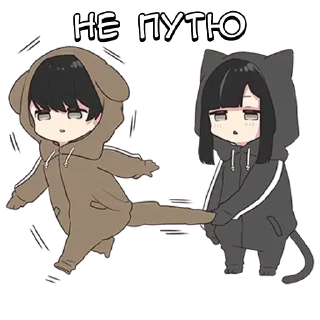🌟