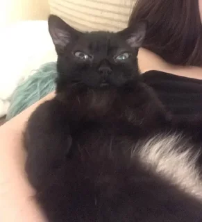 😠