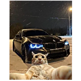 🚗