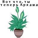 🥦