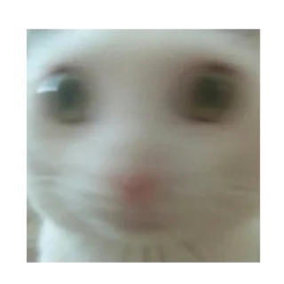😧