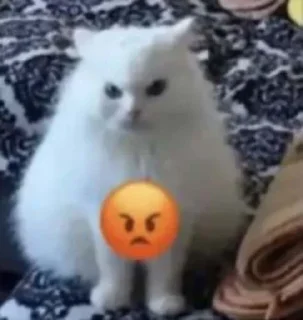 😡