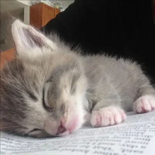 😴