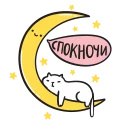🌜