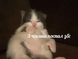 😴