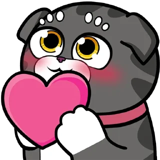 ❤️
