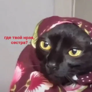 🤨
