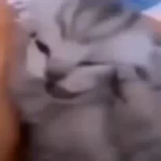 😨