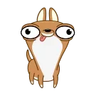 🤪