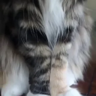 🤬