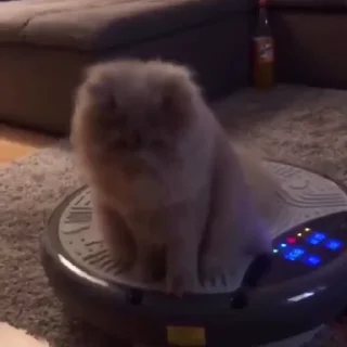 😨