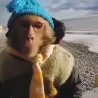 🧐