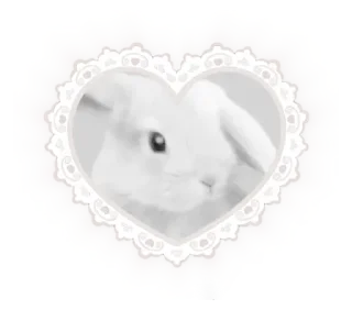 🐇