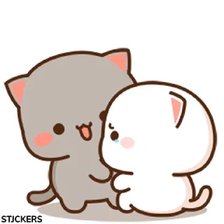 😽