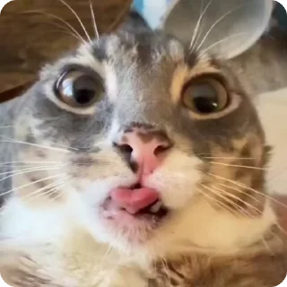 😦