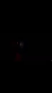 🐰
