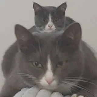 😐