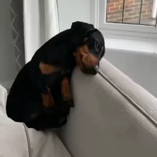 😢