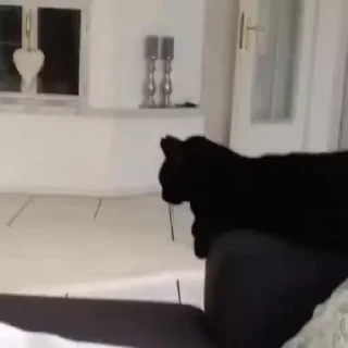 👊